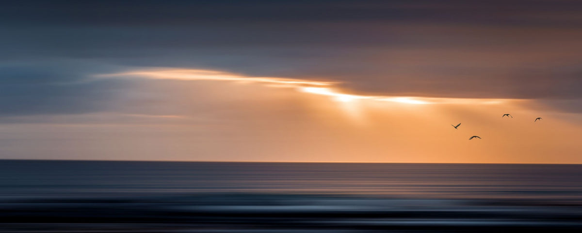 Heavenly Aura by Samantha Lee Osner, an Atlantic Ocean sunset print with birds in flight
