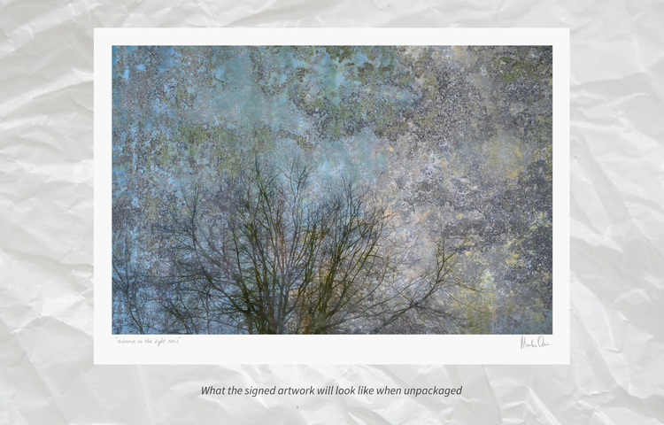 Silence in the light No.1