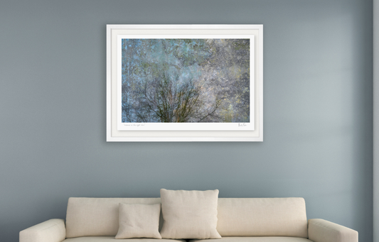 Silence in the light No.1