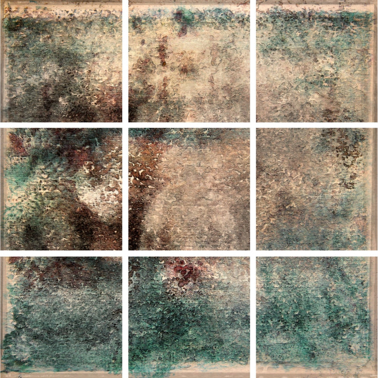 Analogous Anthology No.5