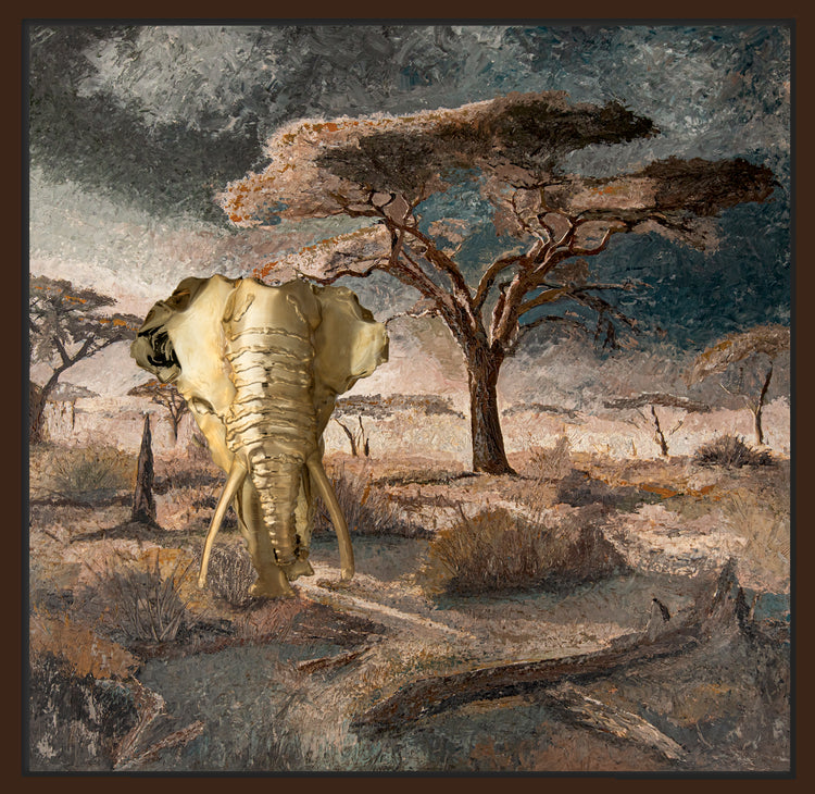 Kambaku of the Kruger