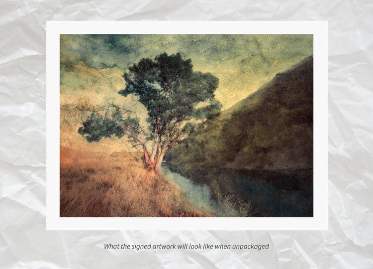 Echoes of the Valley