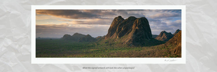 Ngorongé | Garden of Giants