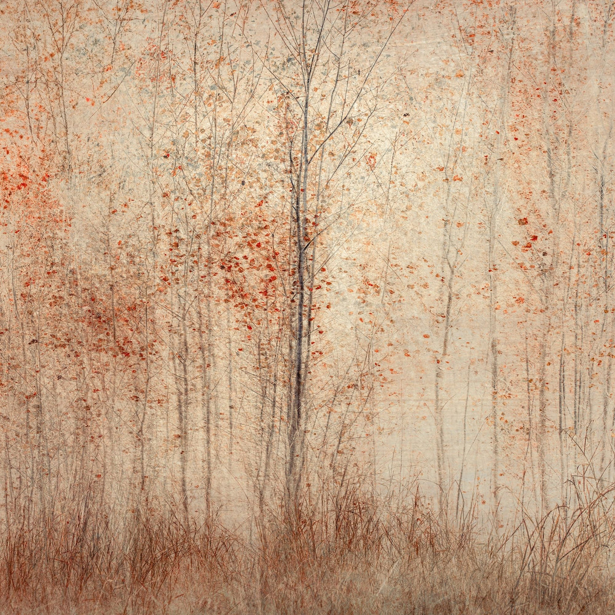 Embers in Bloom by Samantha Lee Osner, trees softened by texture and ember tones