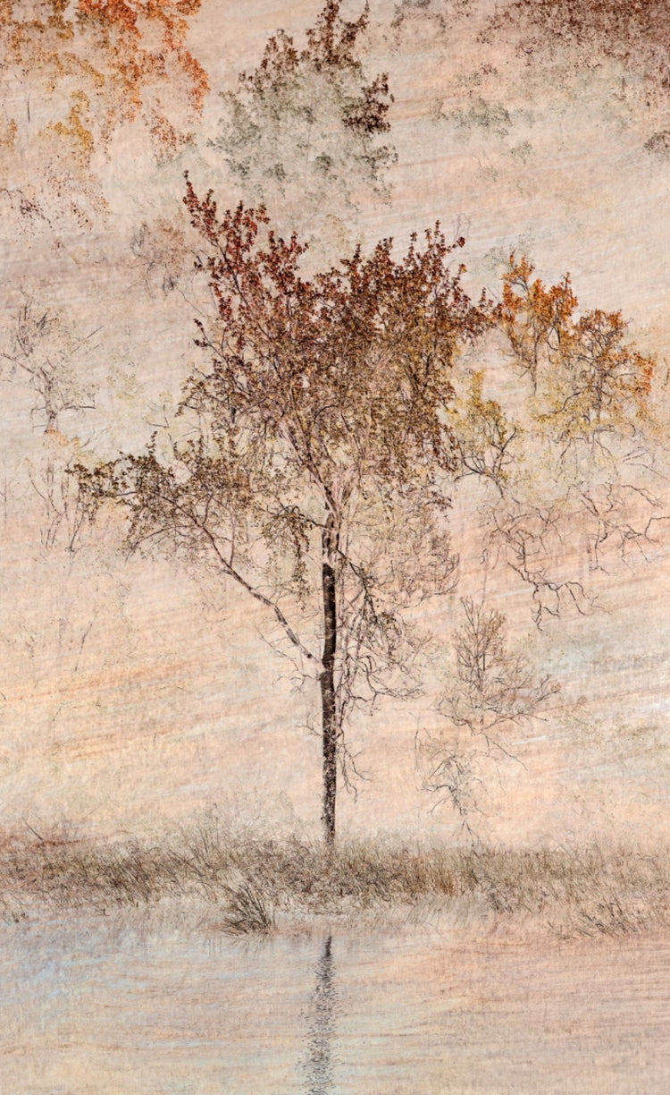 Whispers of Nature No.2