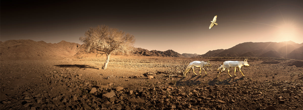 Echoes of the Golden Land by Martin Osner & Simon Shone, a fine art print