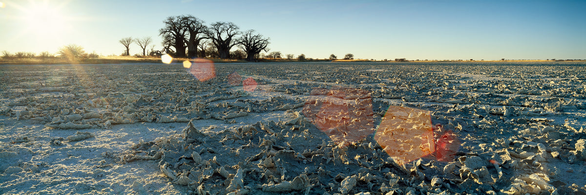 Sunrise, Nxai Pan by Koos van der Lende, the dry pan and Baines baobabs at sunrise