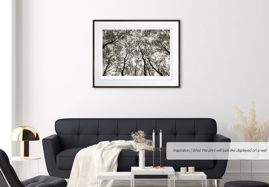 Austere Pattern No.2