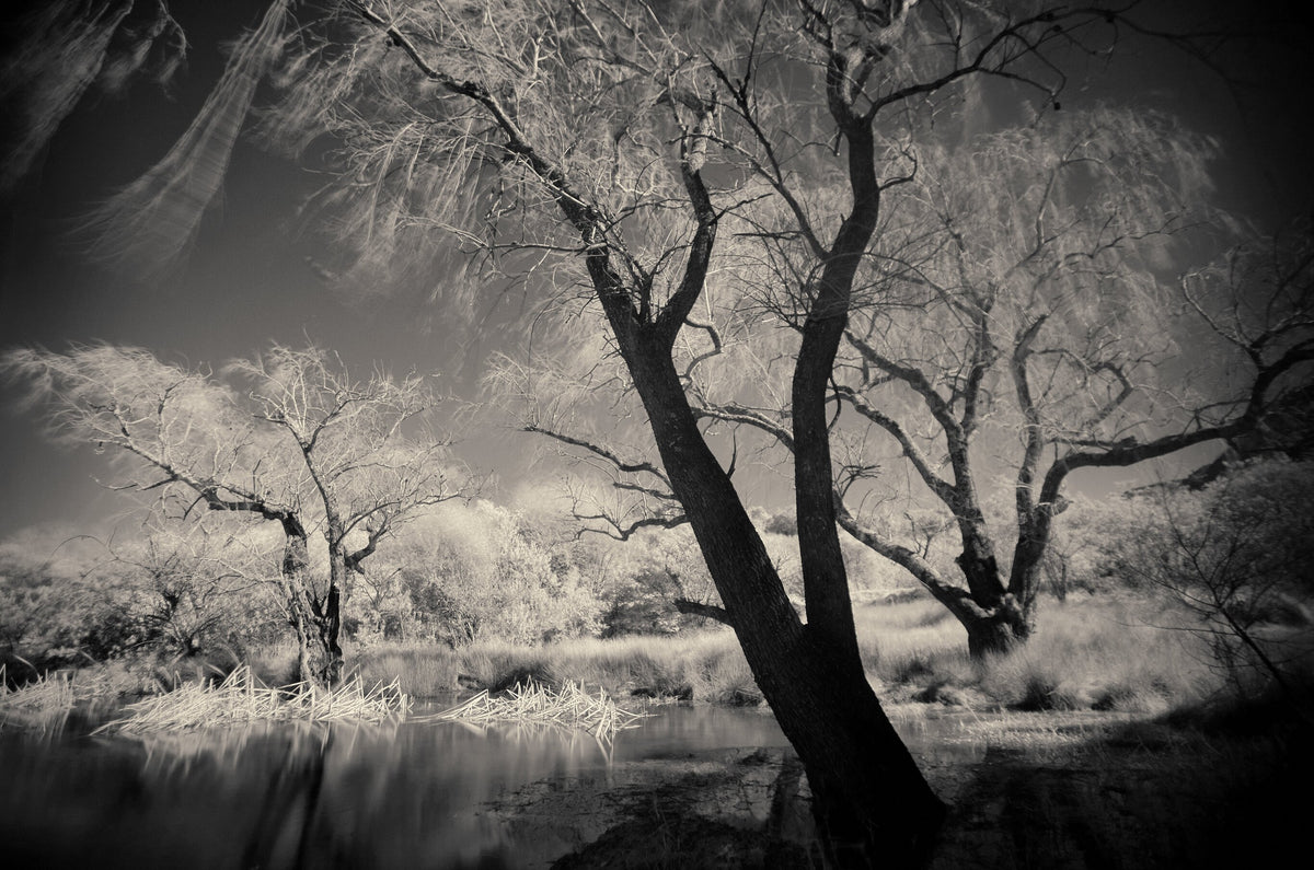 Ethereal Reverie No.1 by Martin Osner, an ethereal landscape