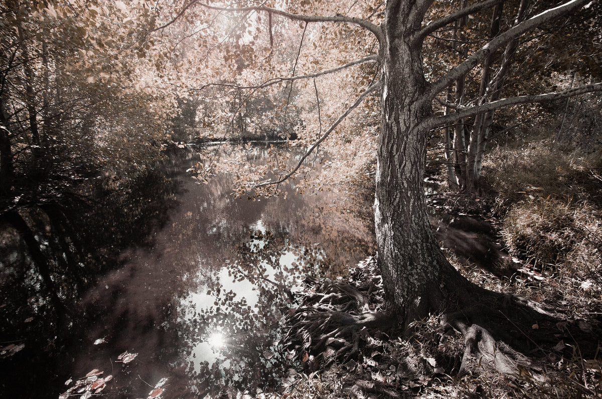 Ethereal Reverie No.5 by Martin Osner, an ethereal landscape