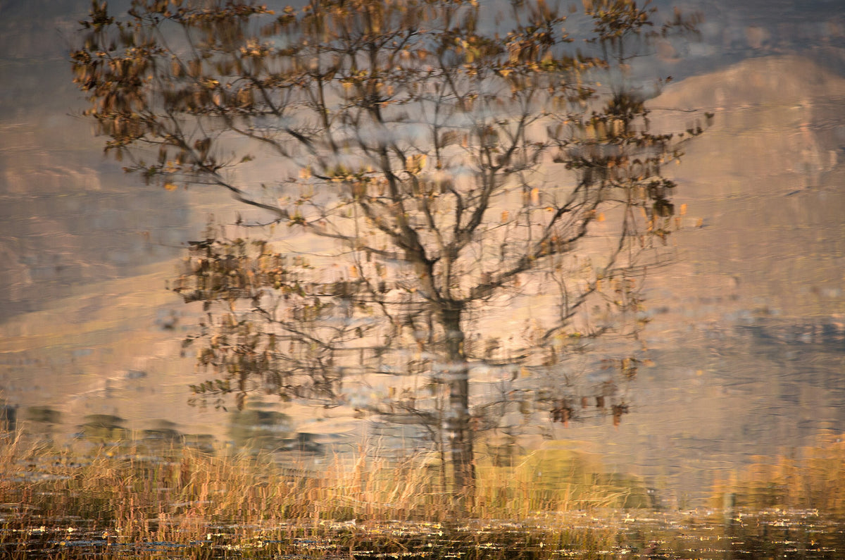 Illusion No.6 by Martin Osner, a fine art print