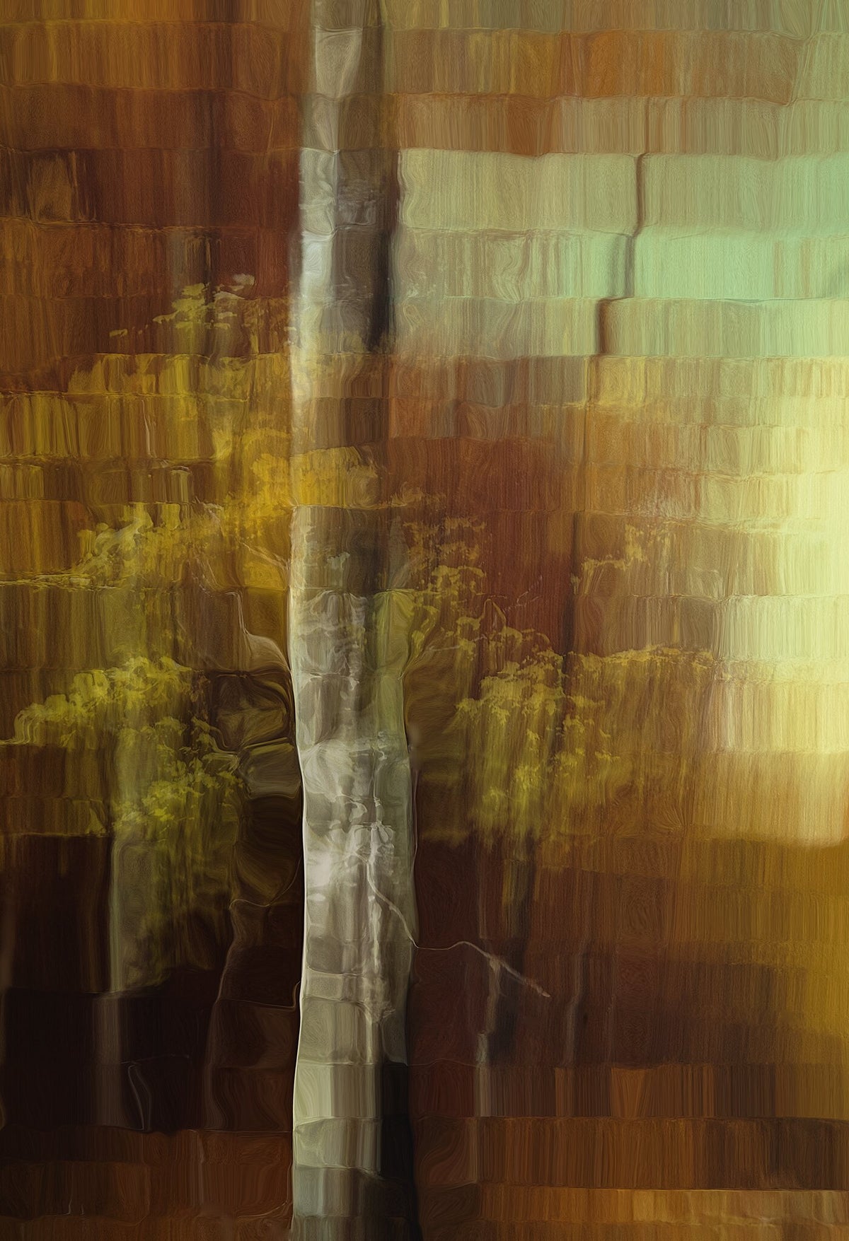 Blackwood Forest by Martin Osner, a fine art print