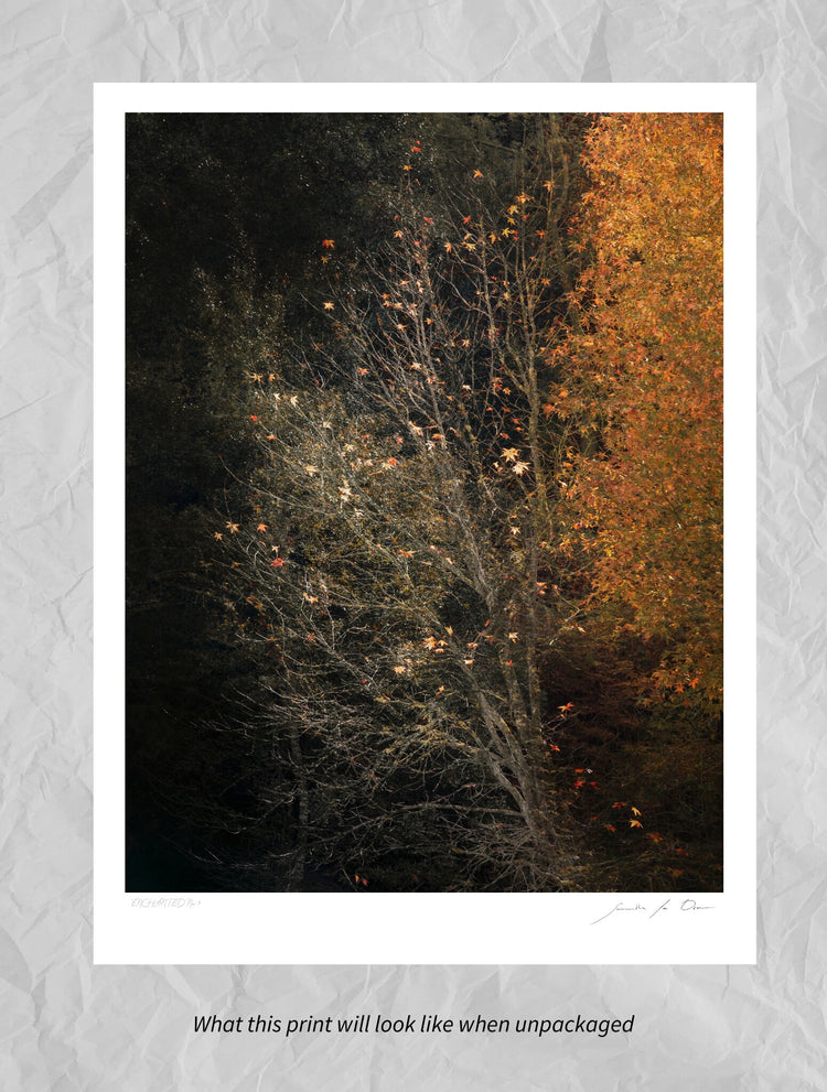Enchanted No.3