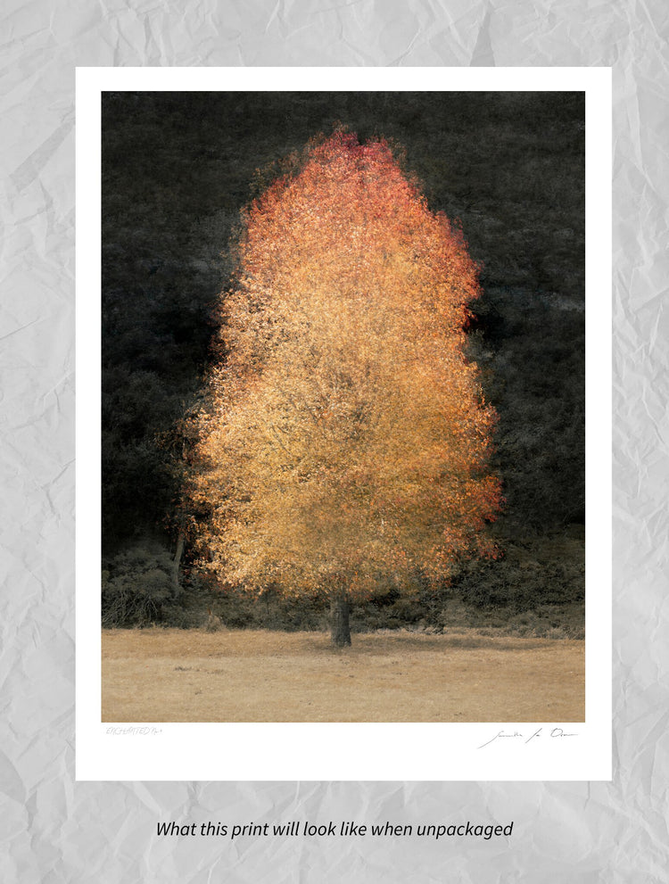 Enchanted No.4