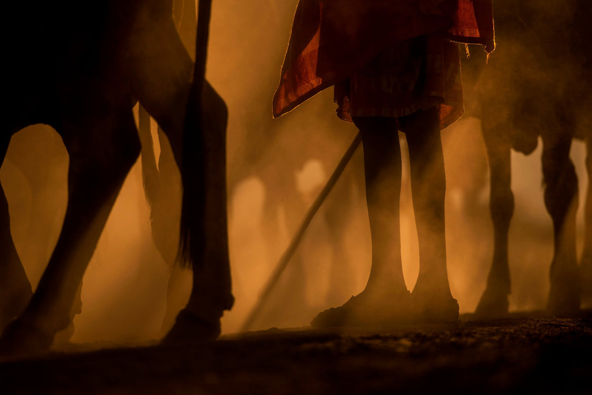 Tribal Heritance by Greg du Toit, a Kenya wildlife art print of a Maasai herder
