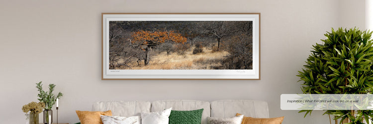 Mopane in Autumn