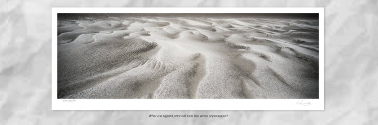 Sand Skeleton