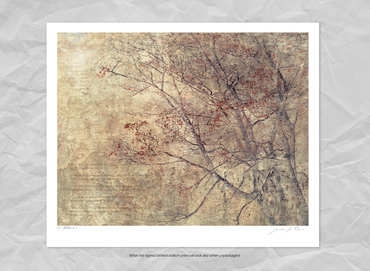 Memoir No.3