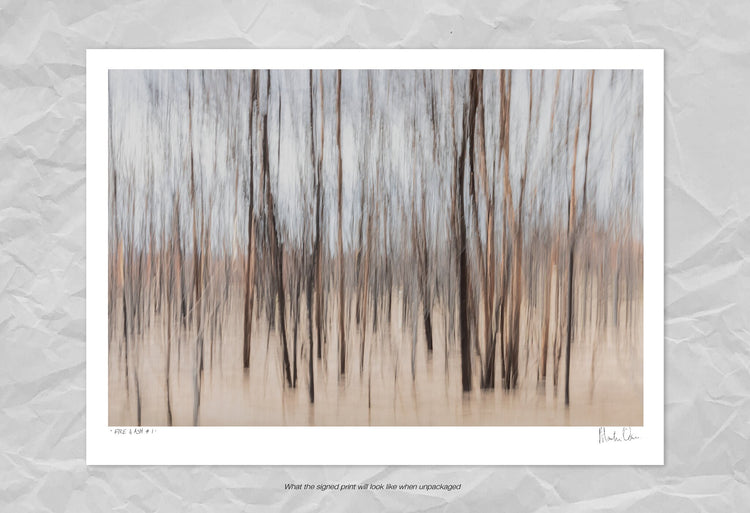 Fire & Ash No.1