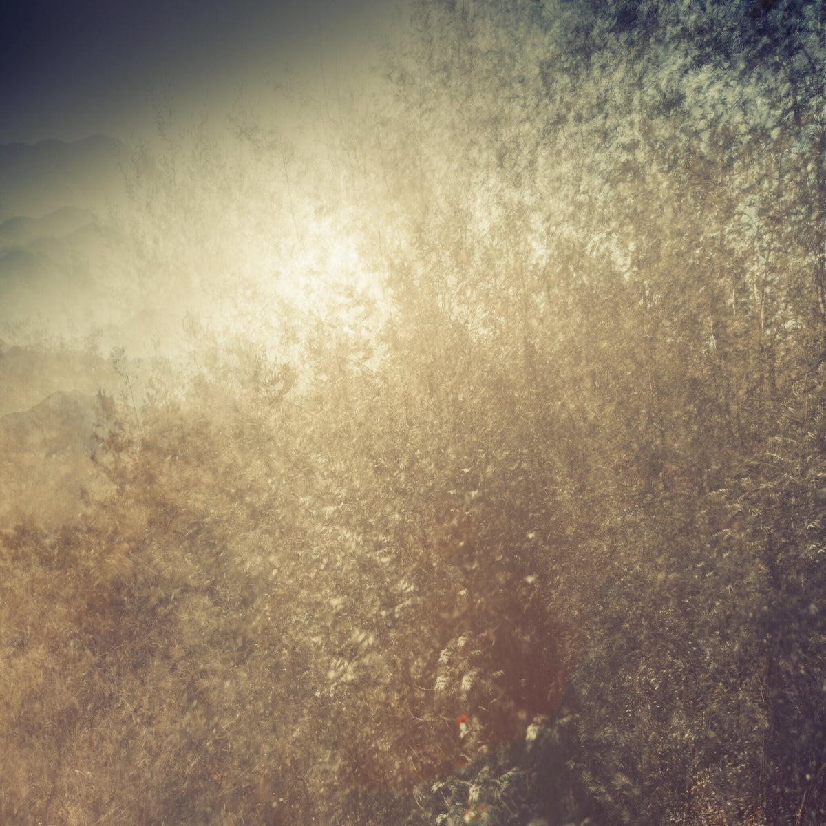 Rhythmus No.5