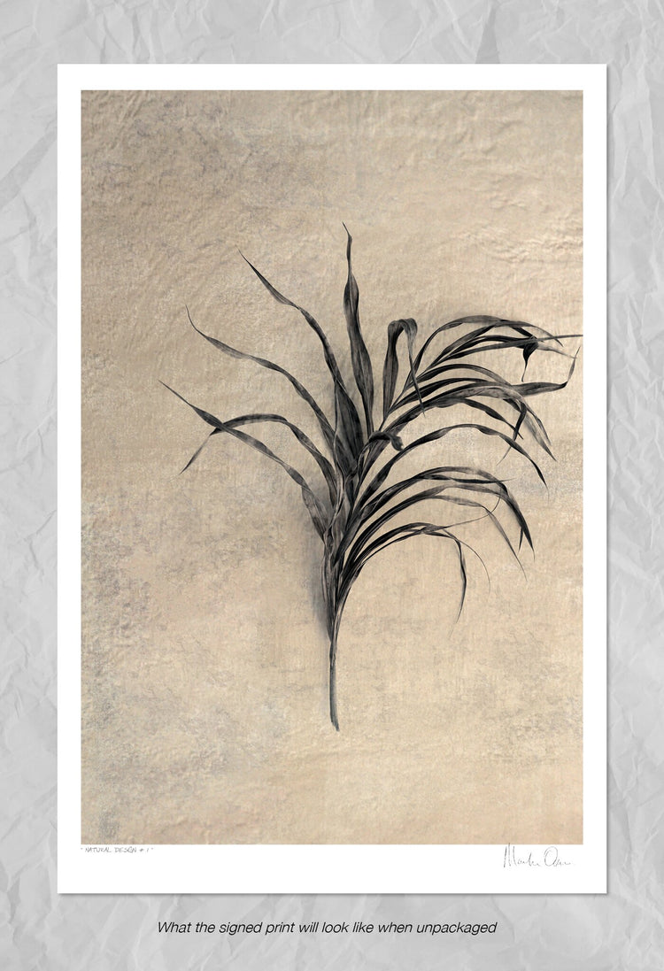 Natural Design No.1