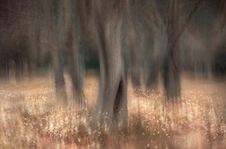 Pièce de Rèsistance No.4