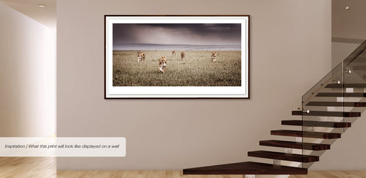 Alliance | Pride of Africa