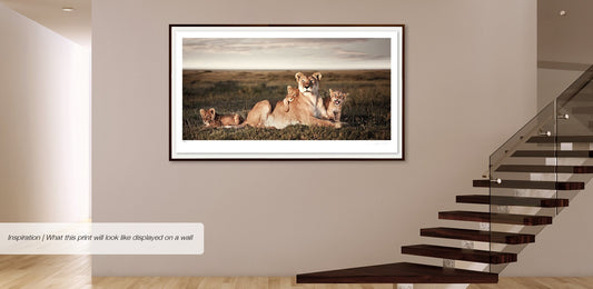 Union No.2 | Pride of Africa