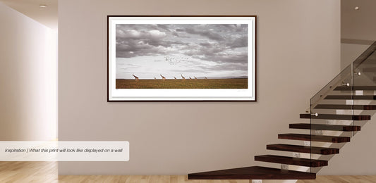 African Visa | Pride of Africa