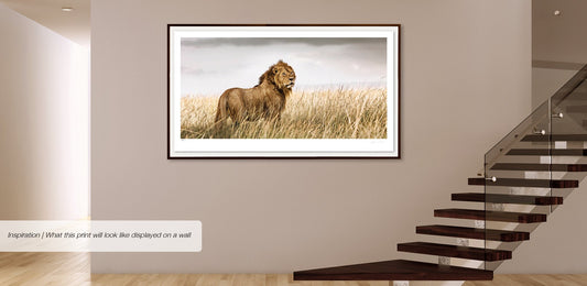 Intrepidity No.1 | Pride of Africa