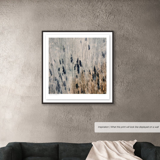 Pastures of Splendour No.3