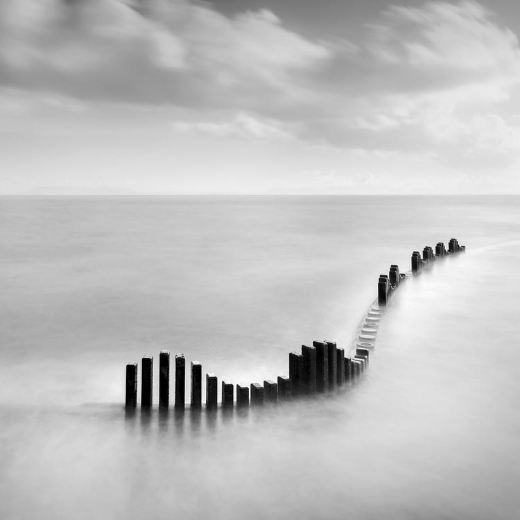 Serenity No.3