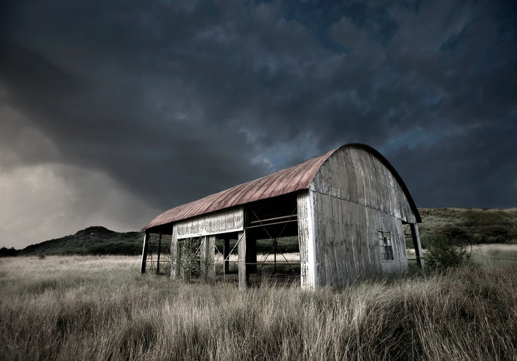 Abandoned No.12