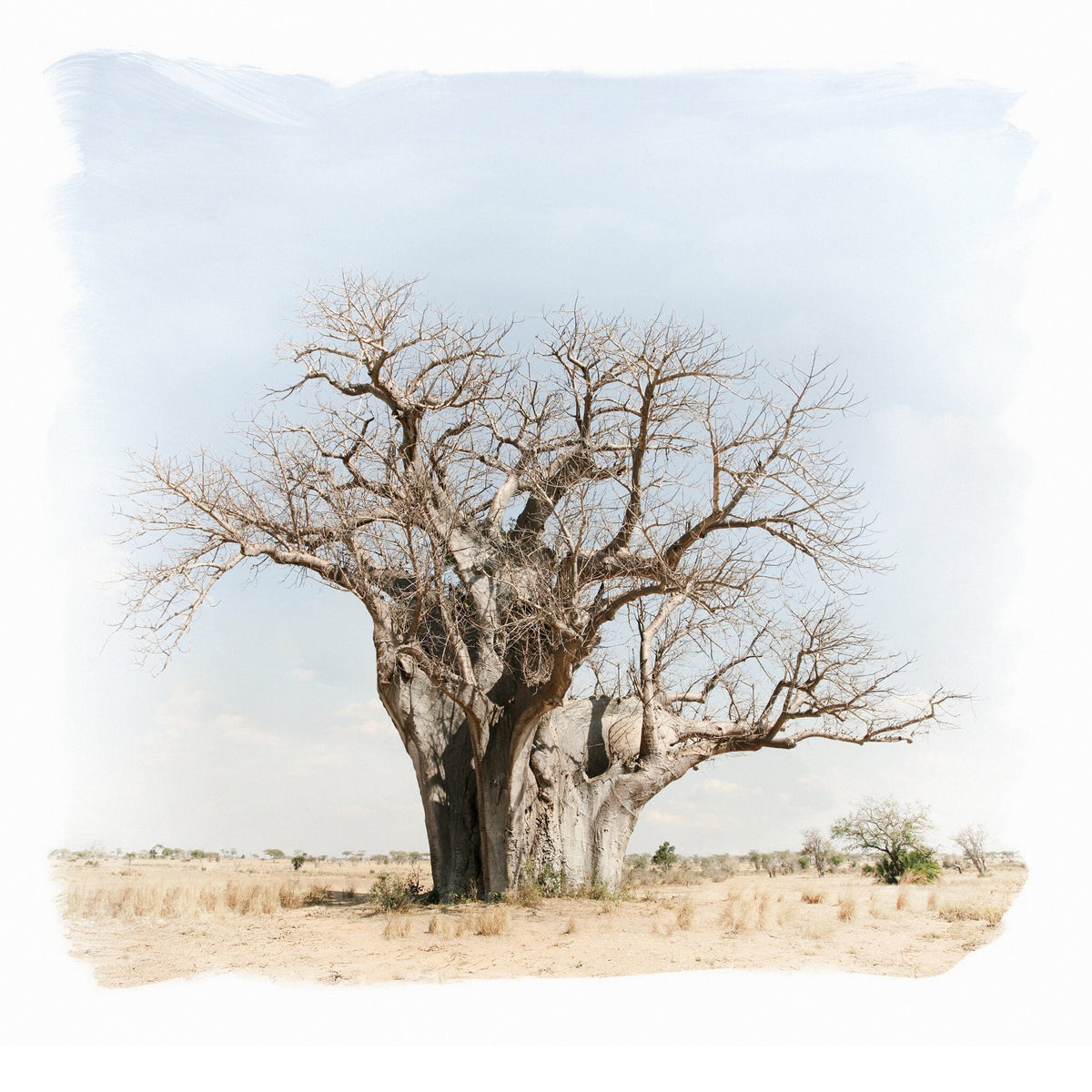 African Icon