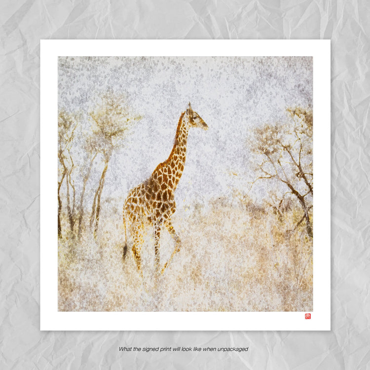 Giraffe