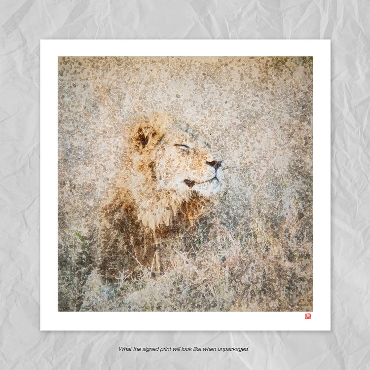 Lion