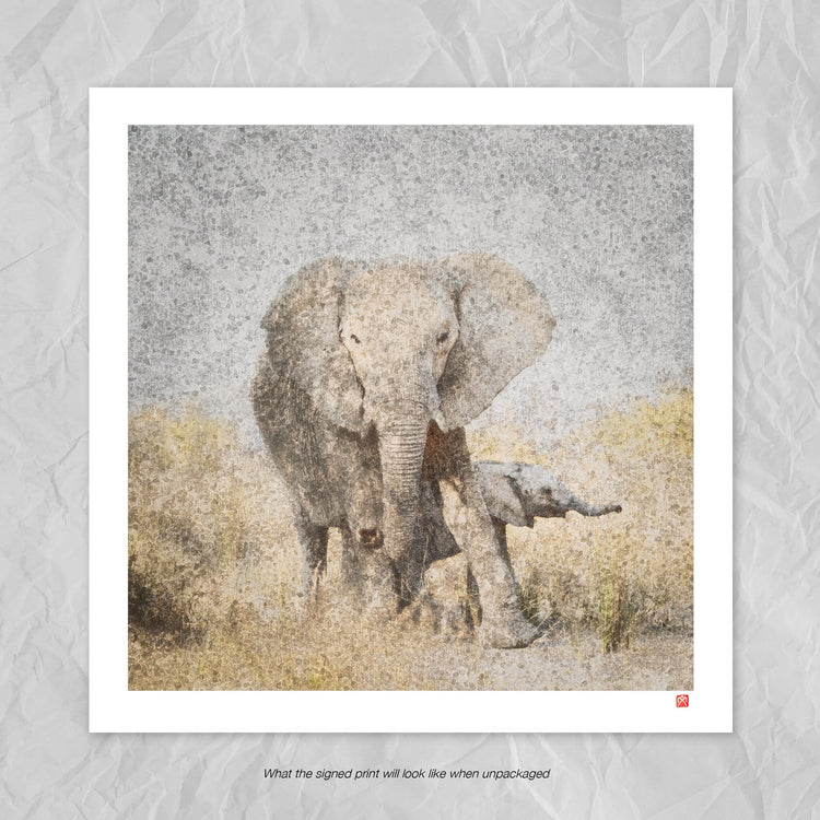 Elephant