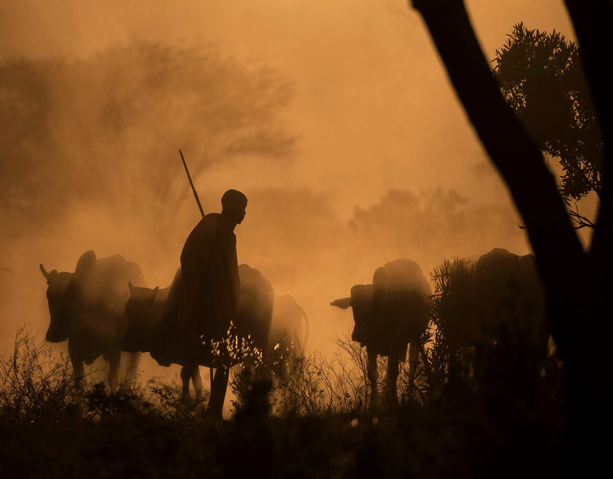 Maasai Shepherd by Greg du Toit, a Maasai shepherd in Kenya