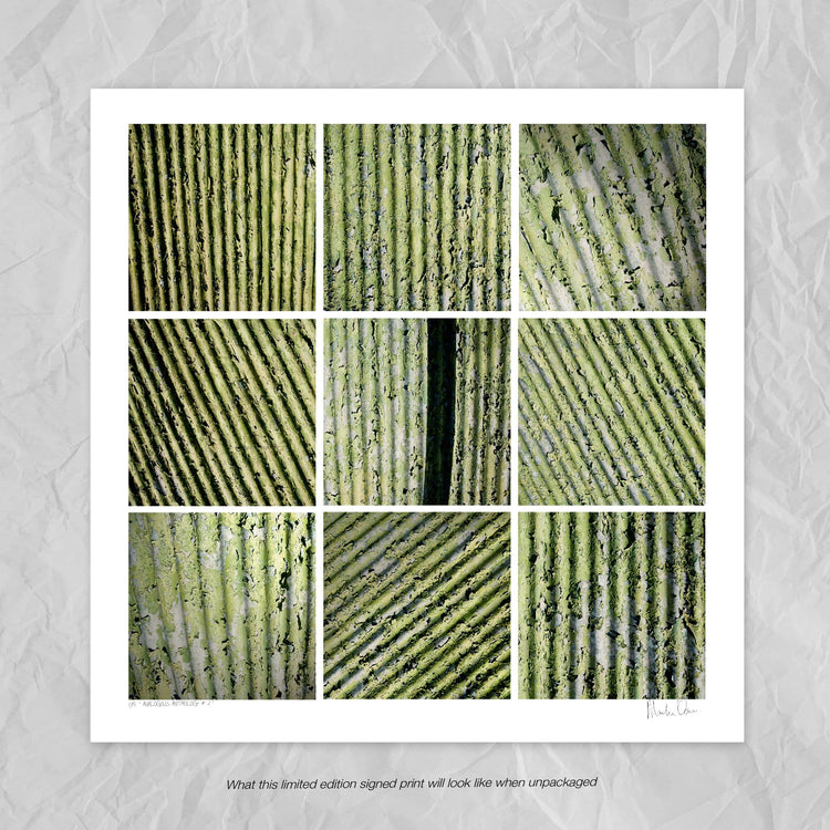 Analogous Anthology No.2