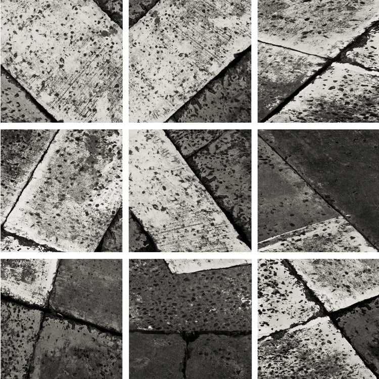 Analogous Anthology No.8