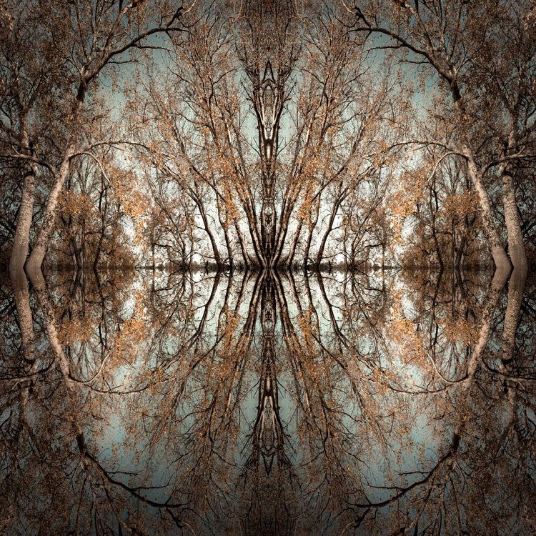 Mirror Island No.7
