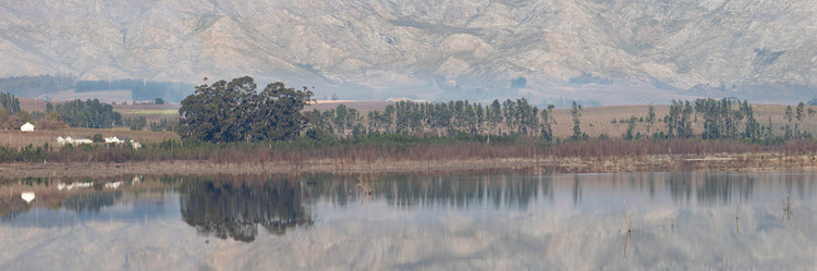 Majestic Reflection