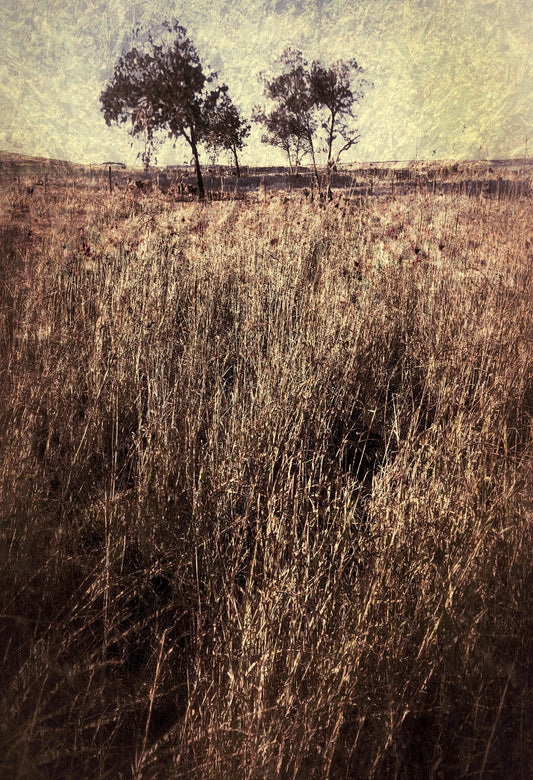 Quintessence No.2