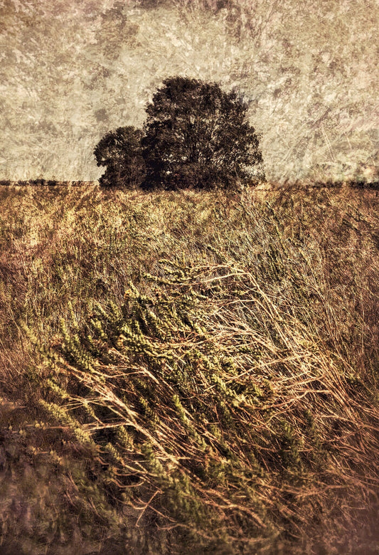 Quintessence No.3