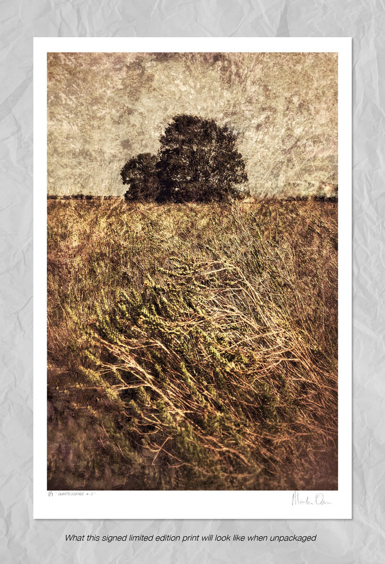 Quintessence No.3