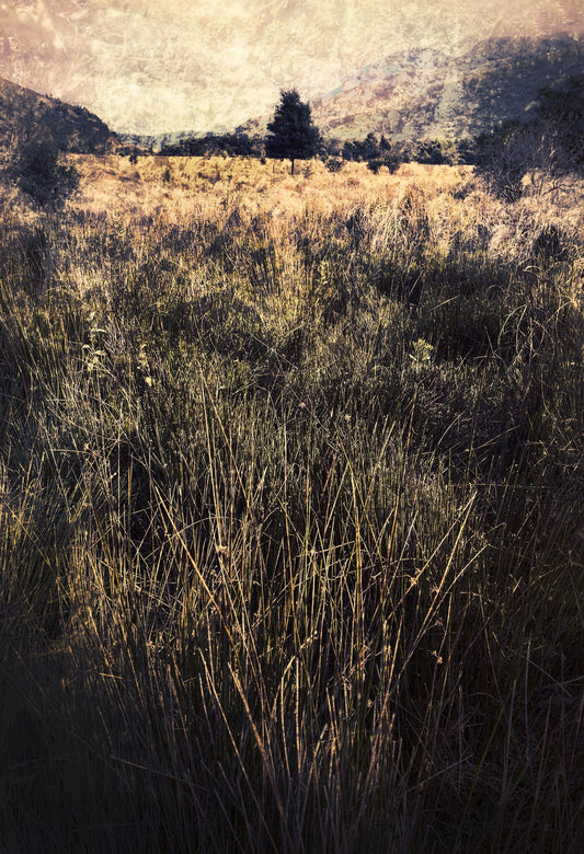 Quintessence No.4