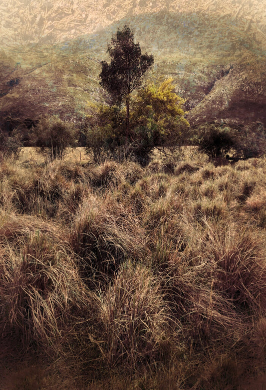 Quintessence No.6