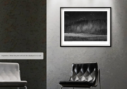 Ebony & Ivory - Valley of Mont Rouge