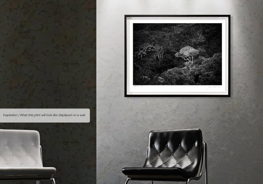 Ebony & Ivory - Stark