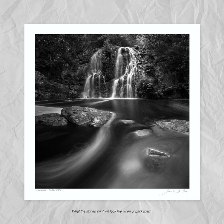Ebony & Ivory - Tranquil Waters